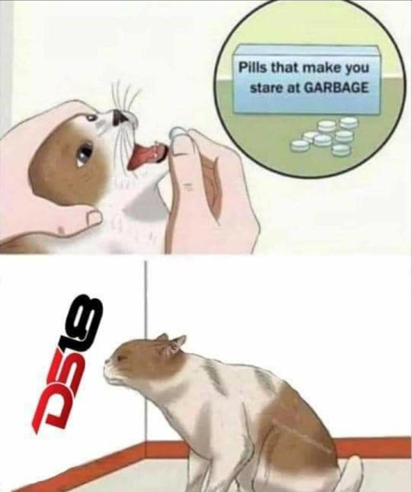 02AD8BBF-3433-4D48-9E29-D853E7892F9F.jpeg