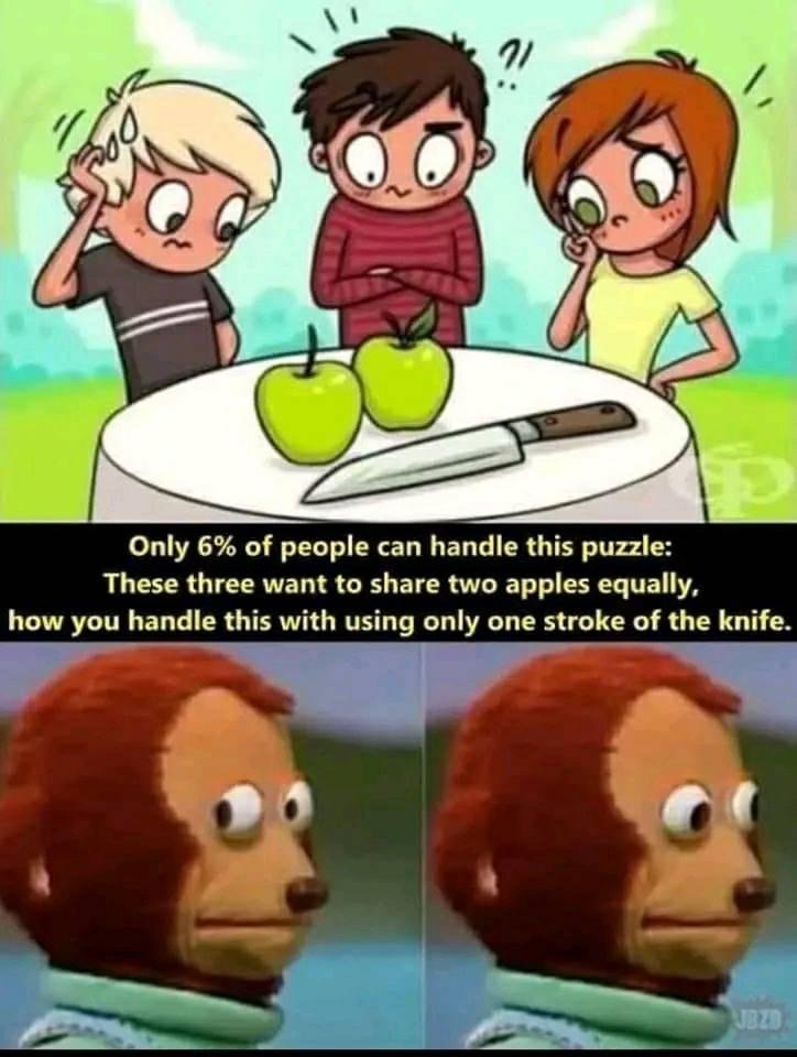 45848