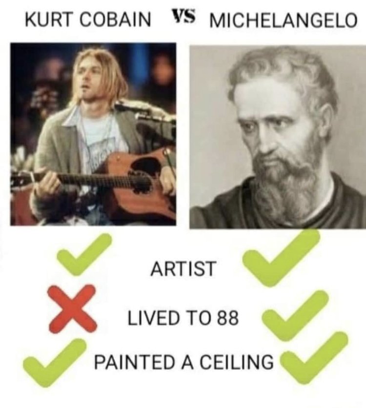 31351