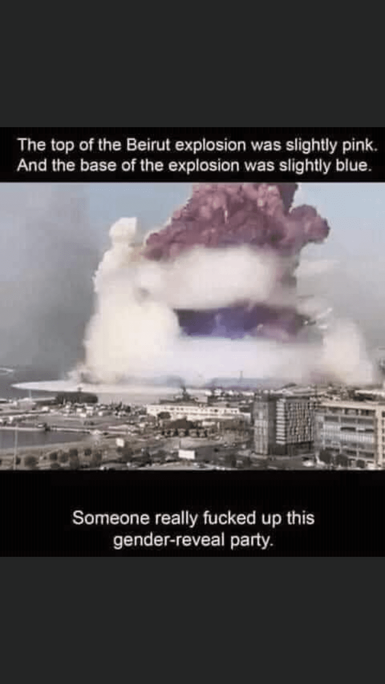 23013