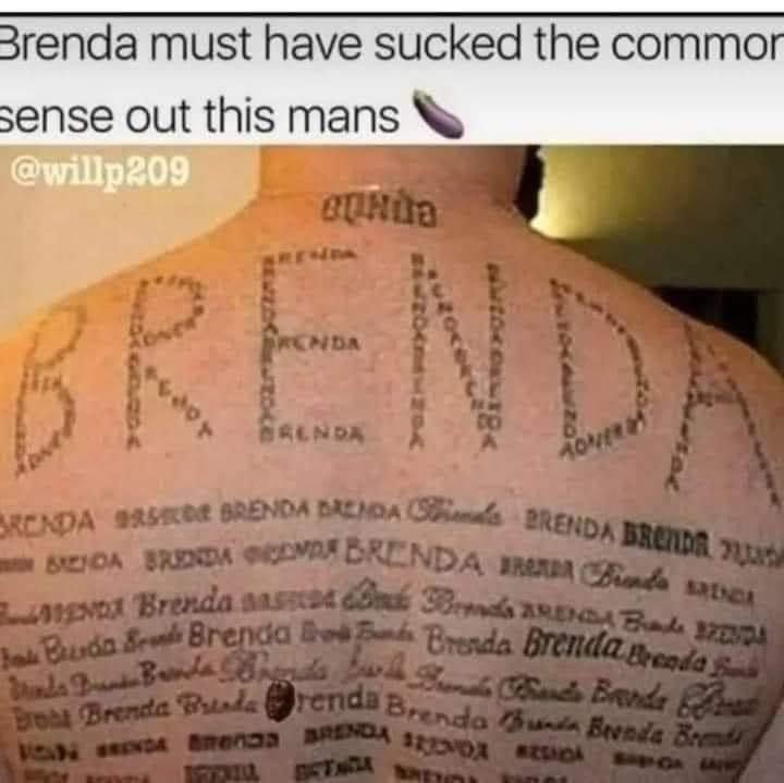 41681