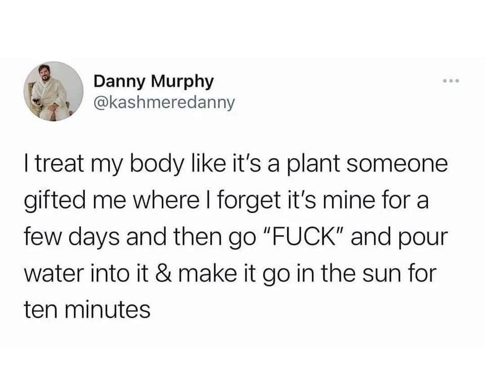 42803