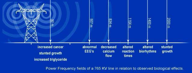 0F5A1845-FEDB-4813-A4AC-C0EACA92E627.jpeg