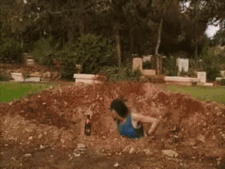1000005030.gif