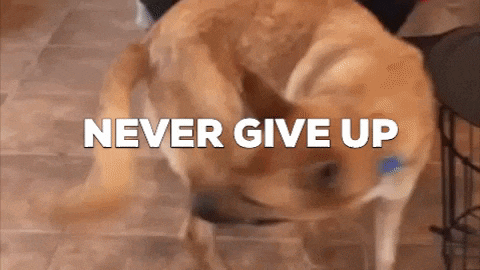 1000005037.gif