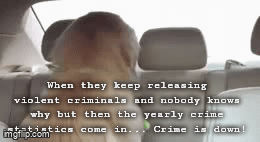 1000005448.gif