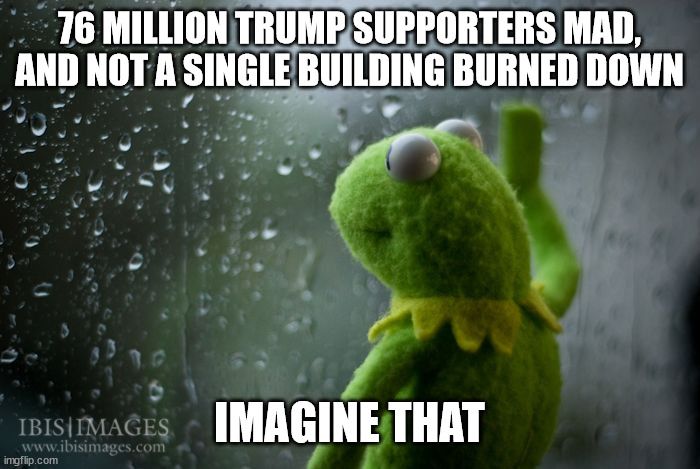 1000008680.jpg