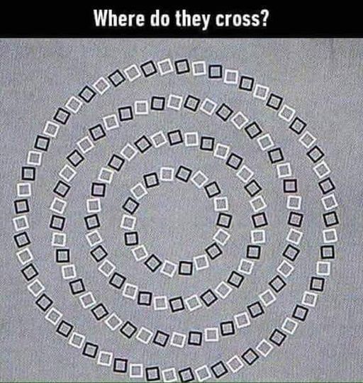 118574894_3238240856244921_8834513372810693326_n.jpg