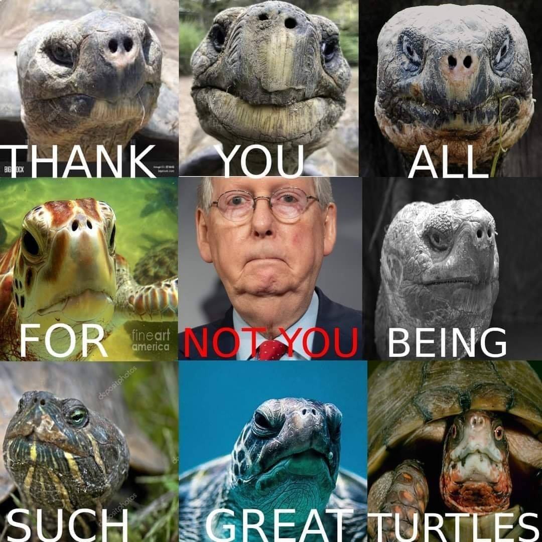 134437757_957719304634766_6637533457866166491_o.jpg