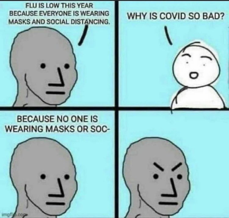 24602