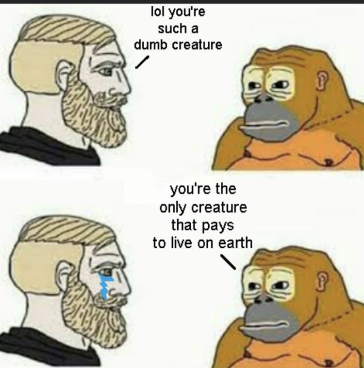 30091