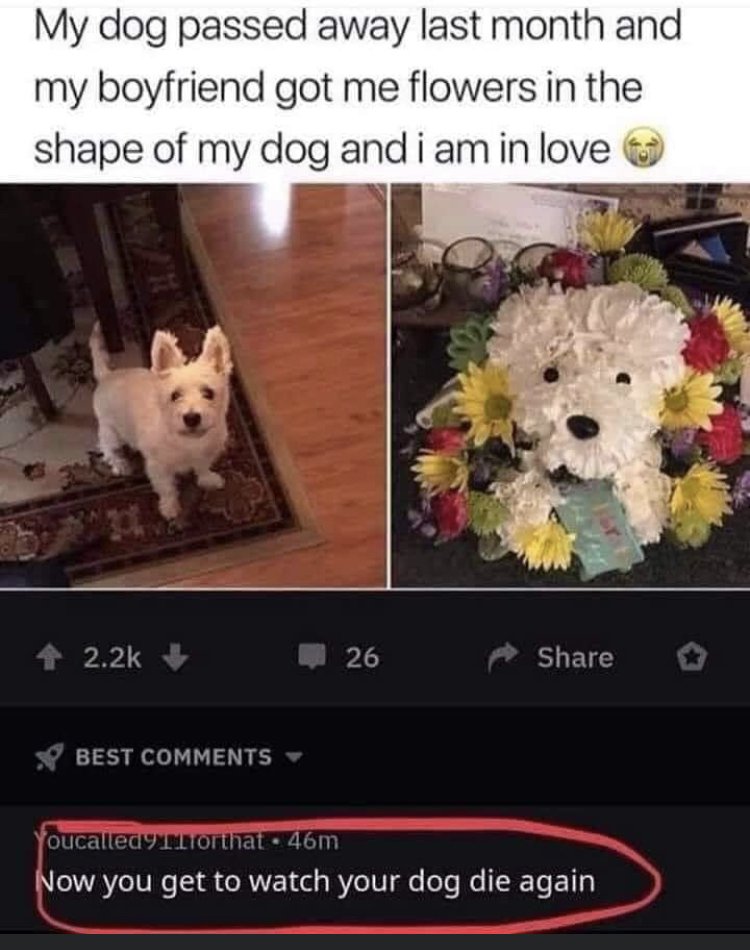 28978
