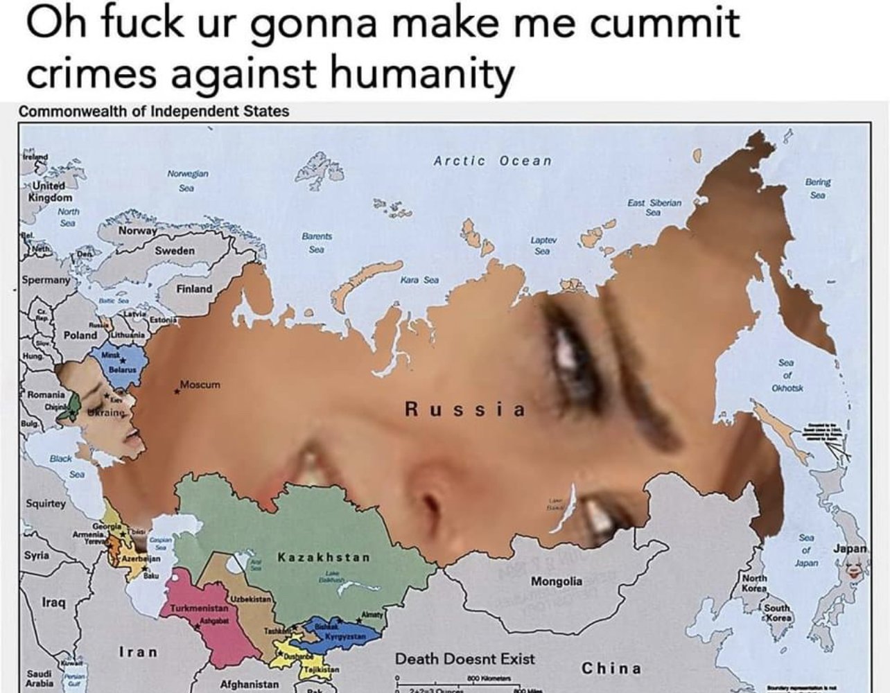 36038