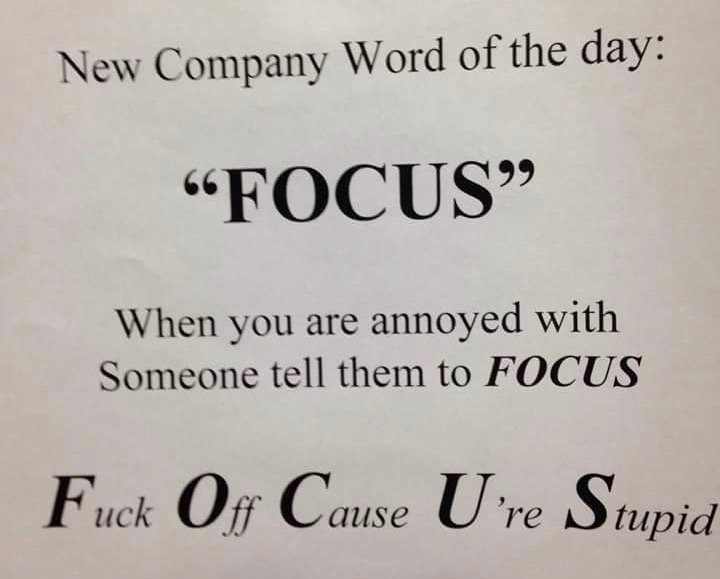 30233