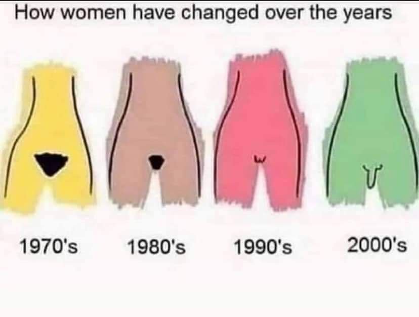 31291
