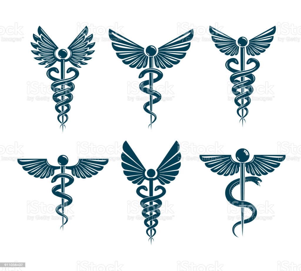1639098124508.png