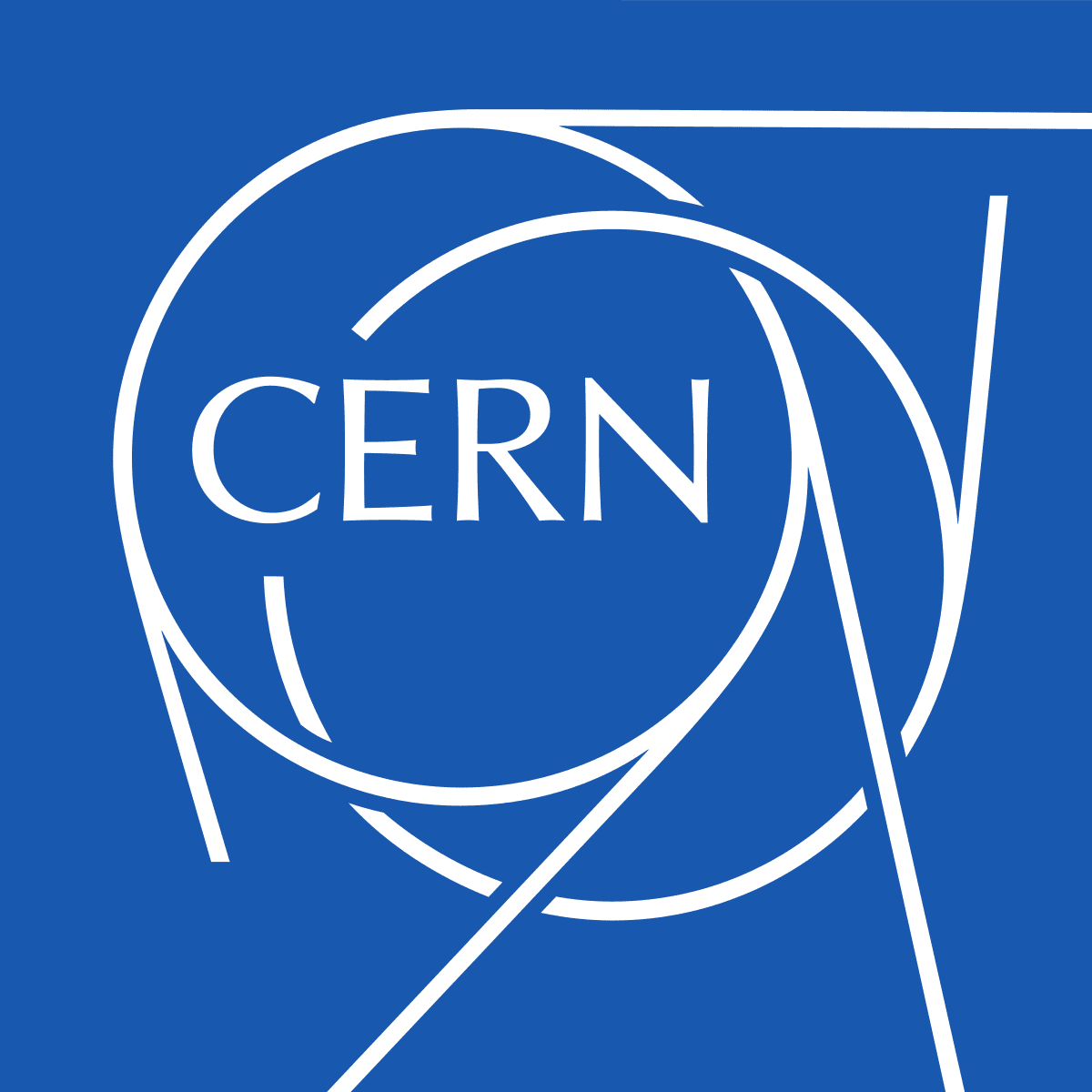 37202