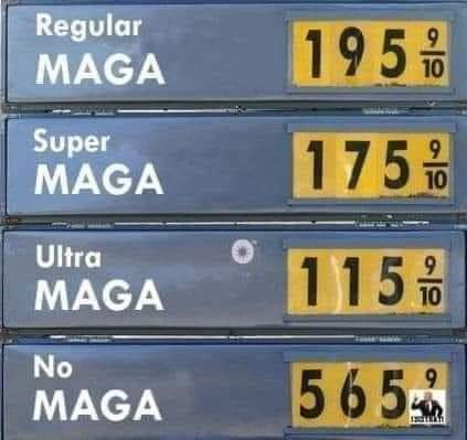38606