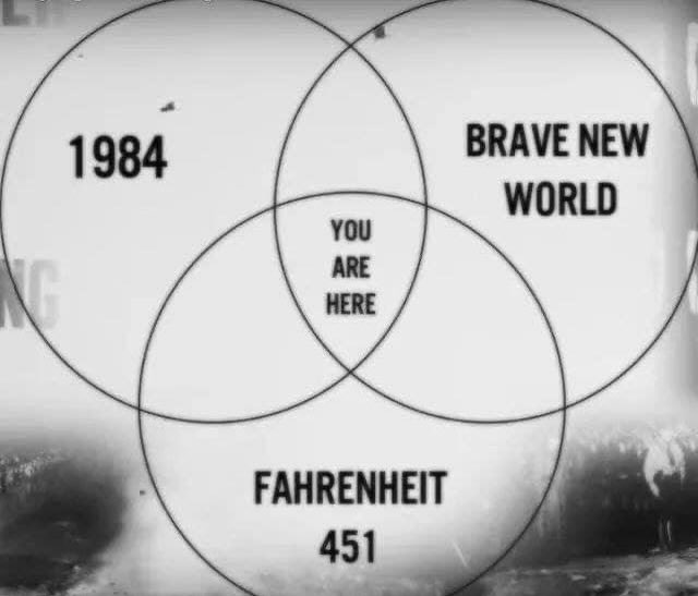46114