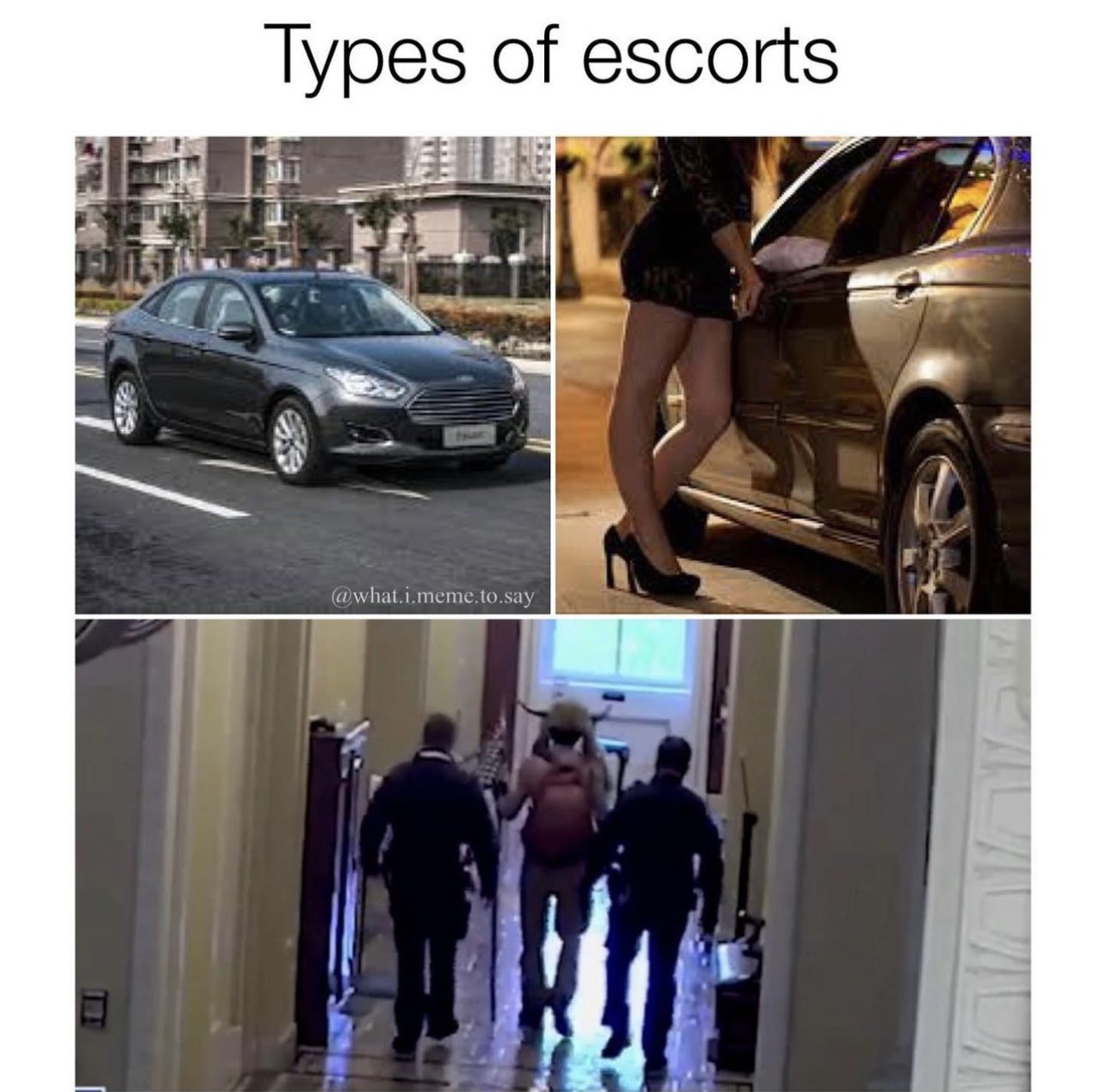 1678307657544.jpeg