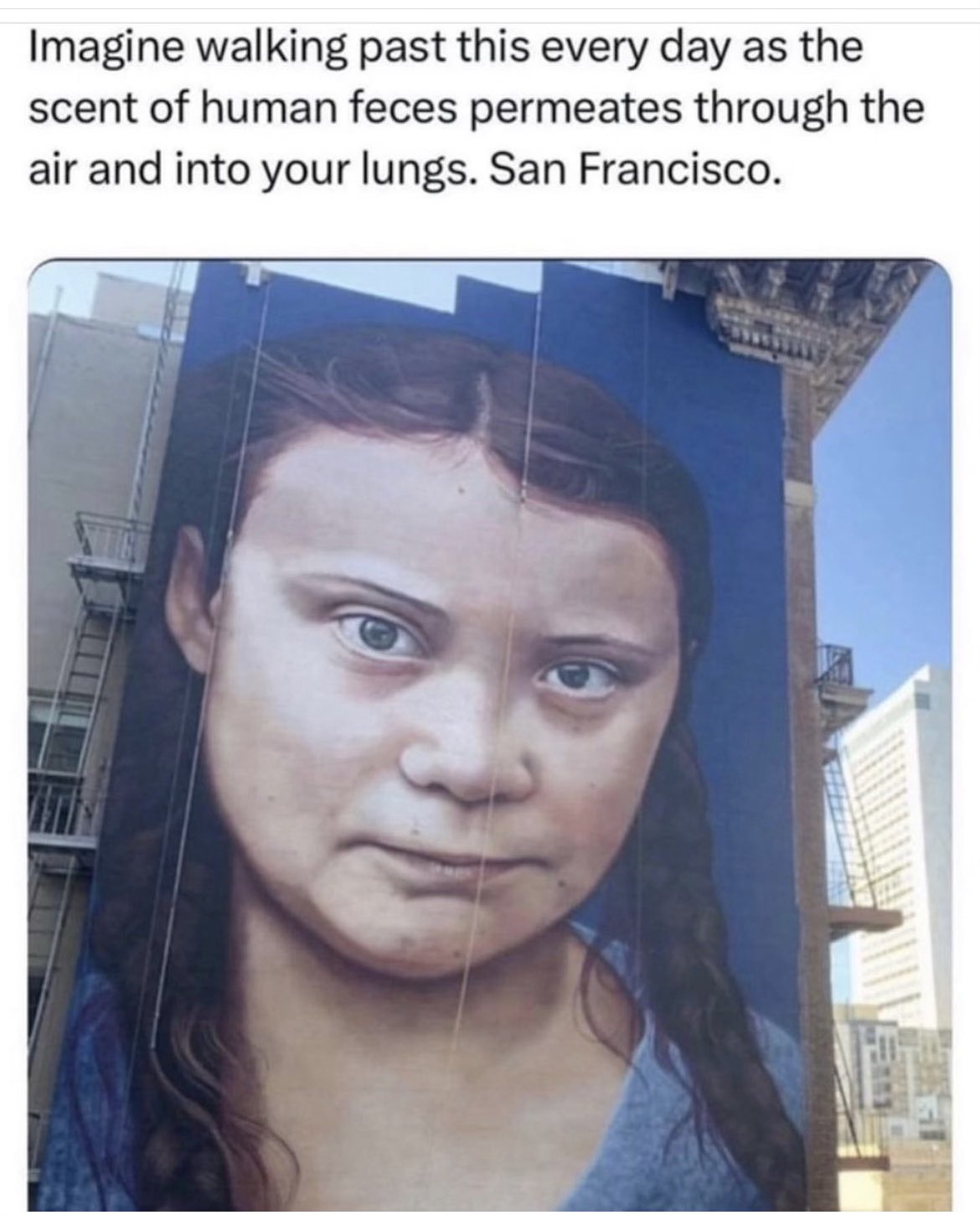 1680926369151.jpeg