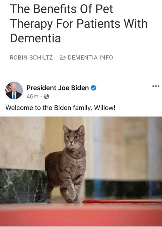 1689113470996.jpeg