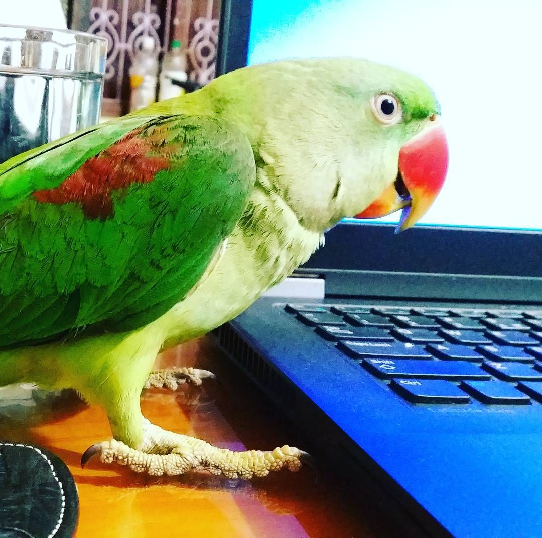 1710696391582.jpeg