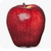 1734047999975.png