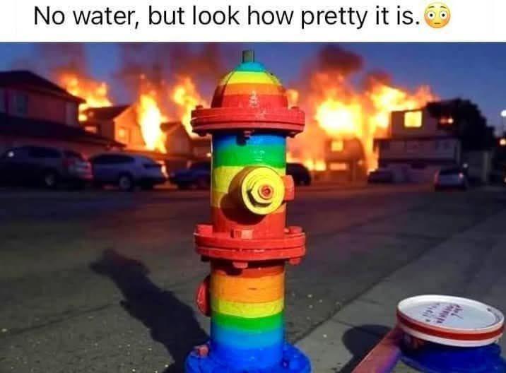 1736530748016.jpeg