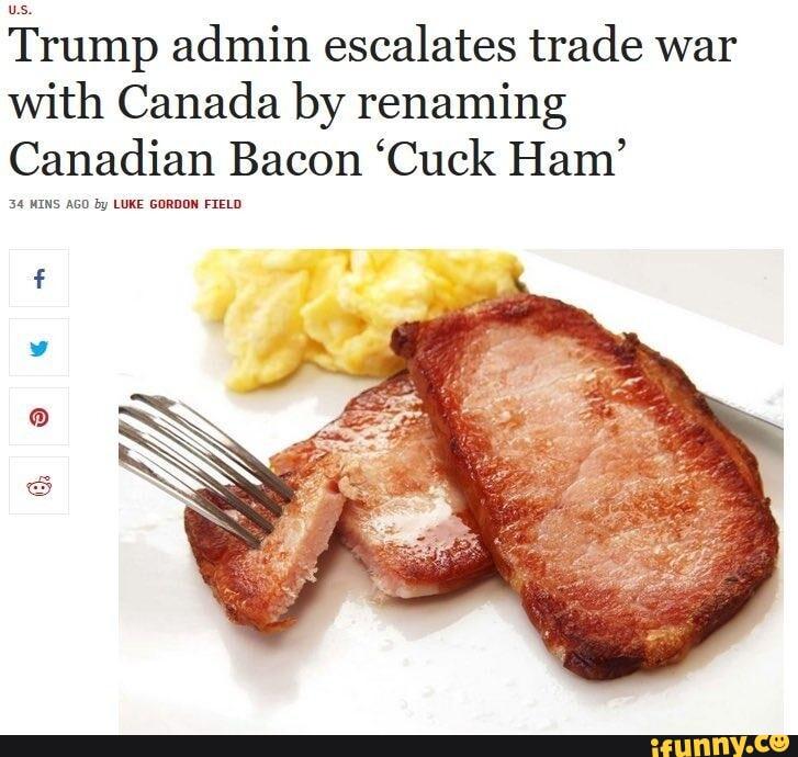 1738661203217.jpeg