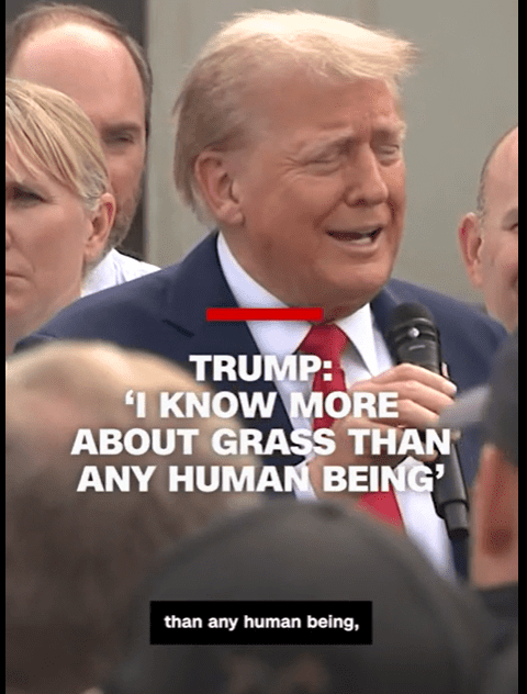 1755914416030.png
