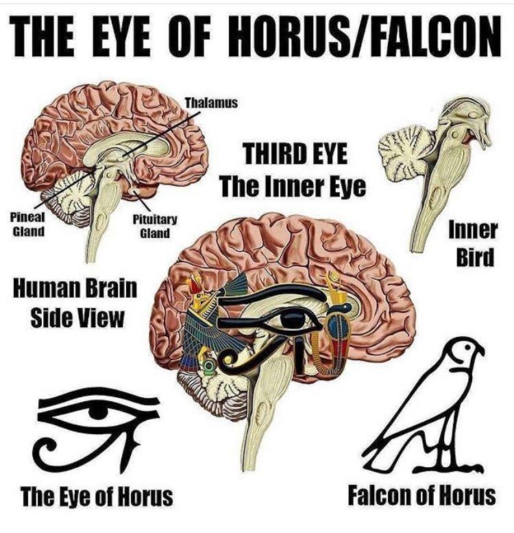 1756438196056.jpeg