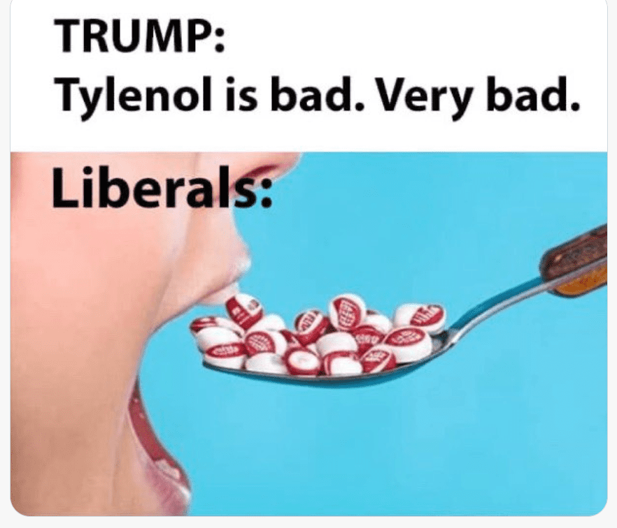 1758650256414.png