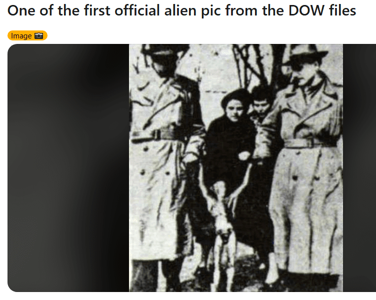 1778298374356.png