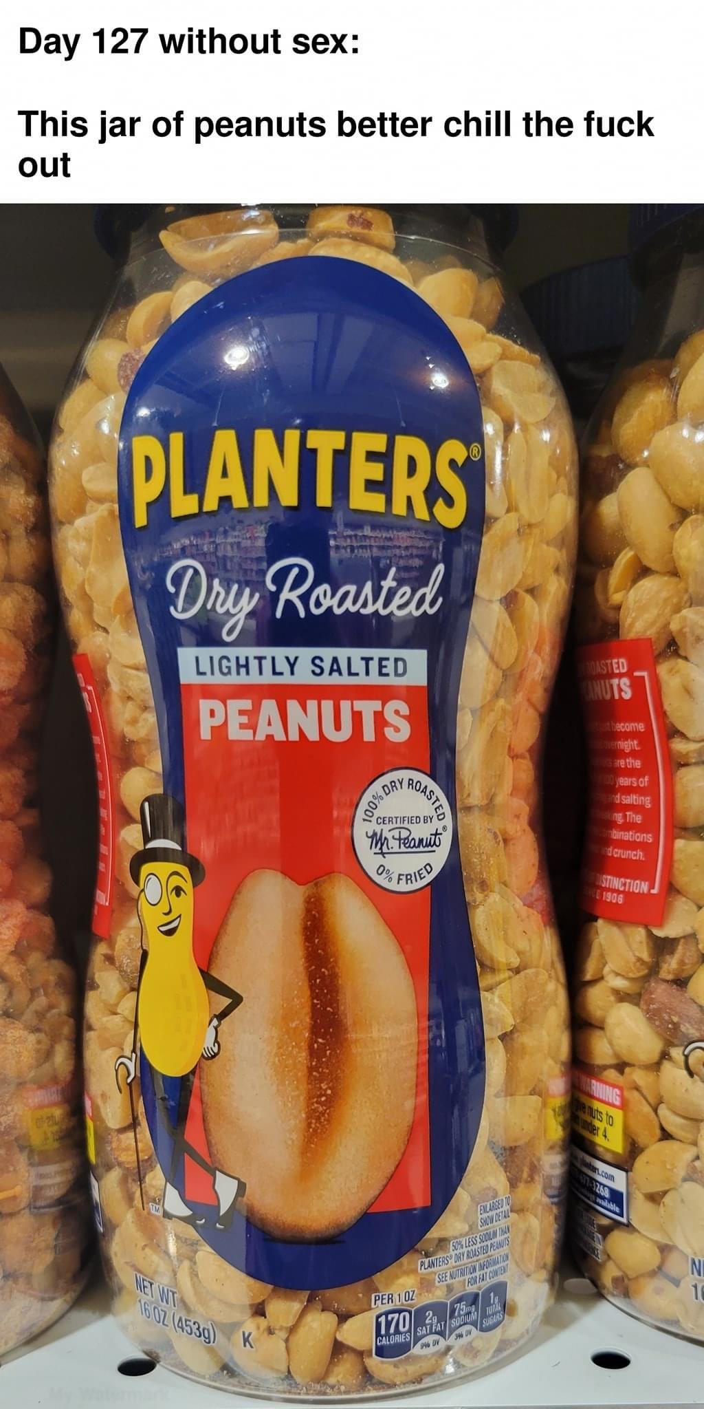 41279