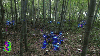 196A89F5-ECD0-46E9-8549-E81D02FDBD91.gif