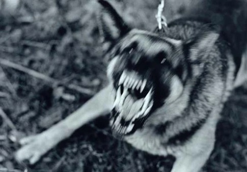 1B118F1D-60AD-41E7-B6A2-11DB0069068A.jpeg