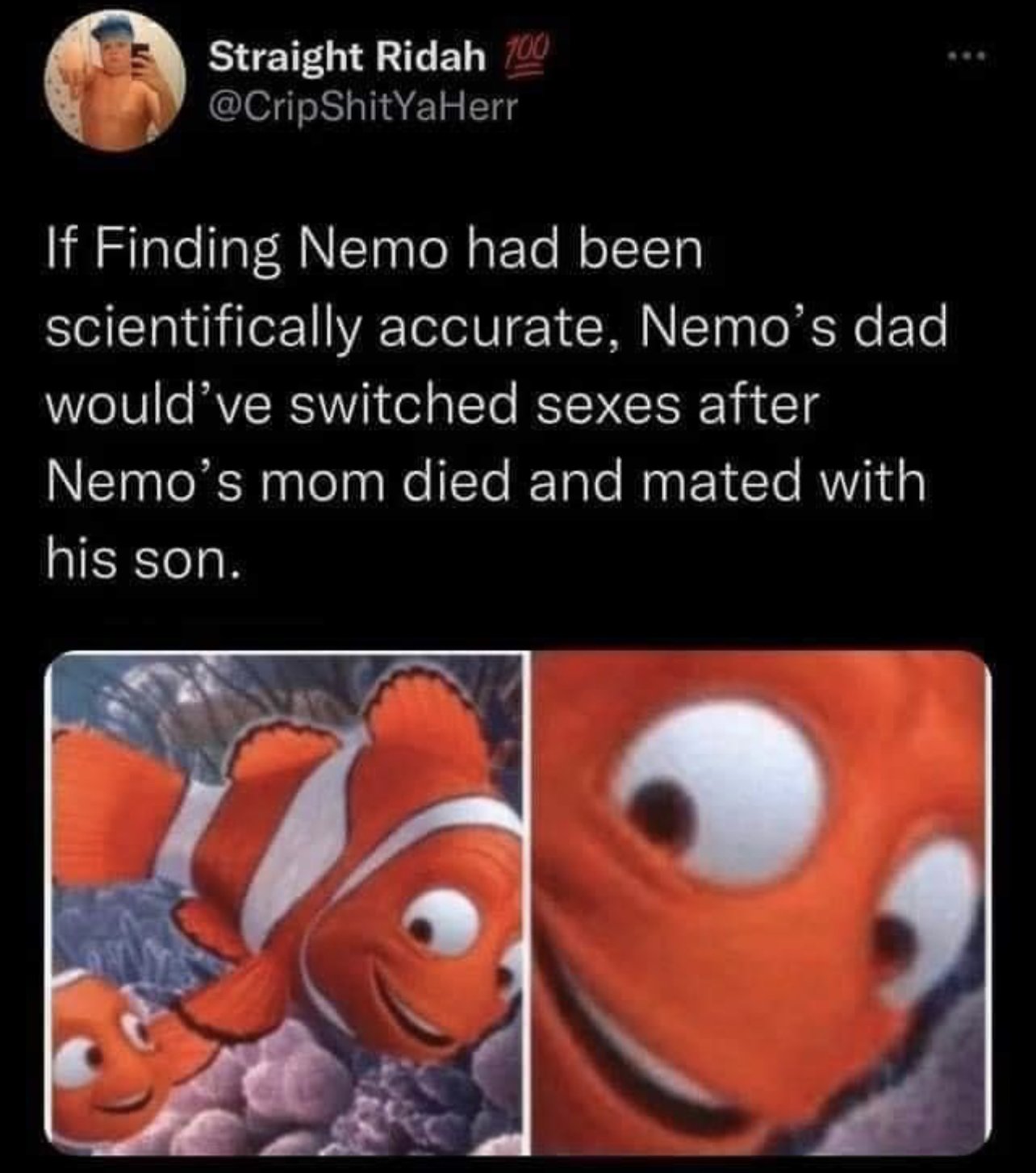 35655
