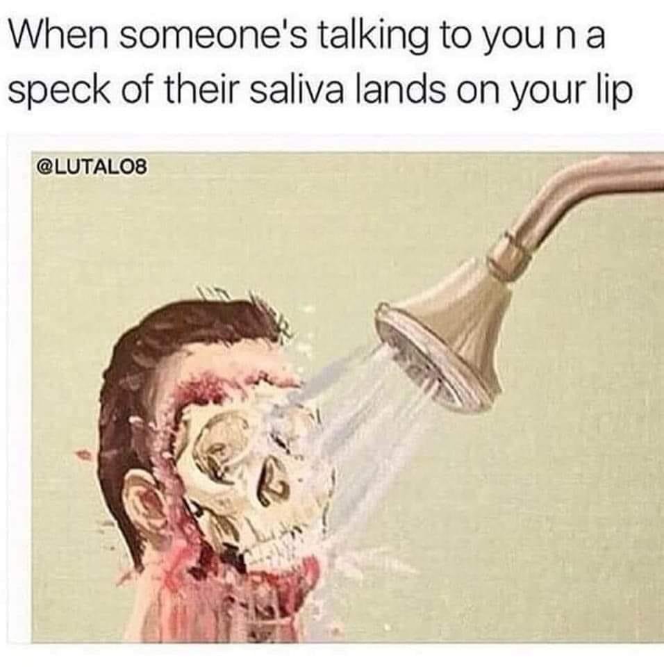45036