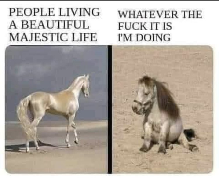 30438