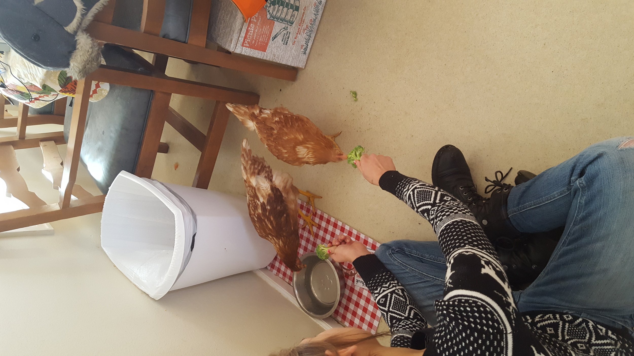 20161119_115114.jpg