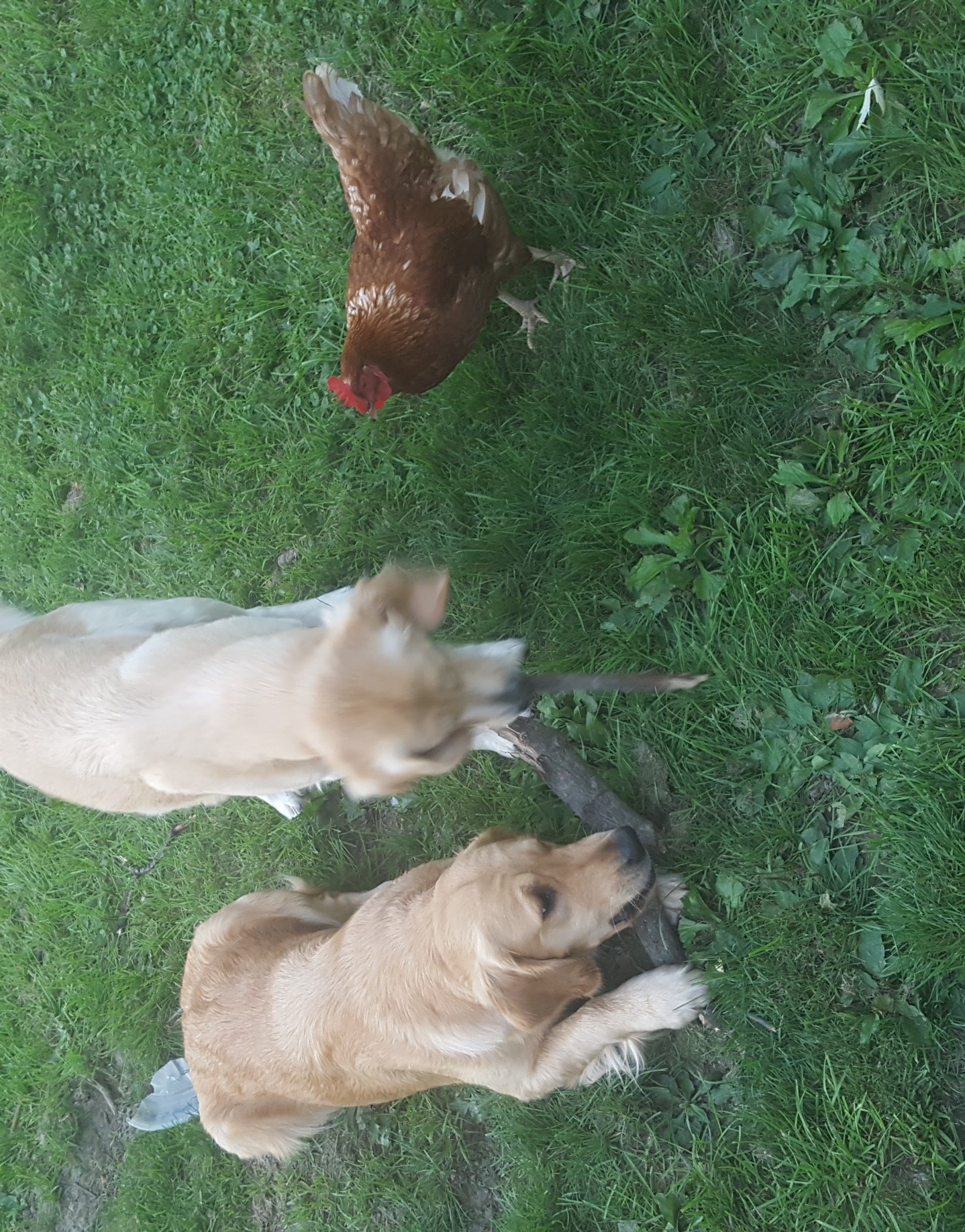 20170929_184704.jpg