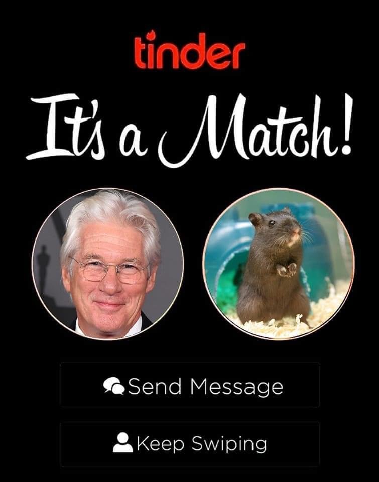 46193