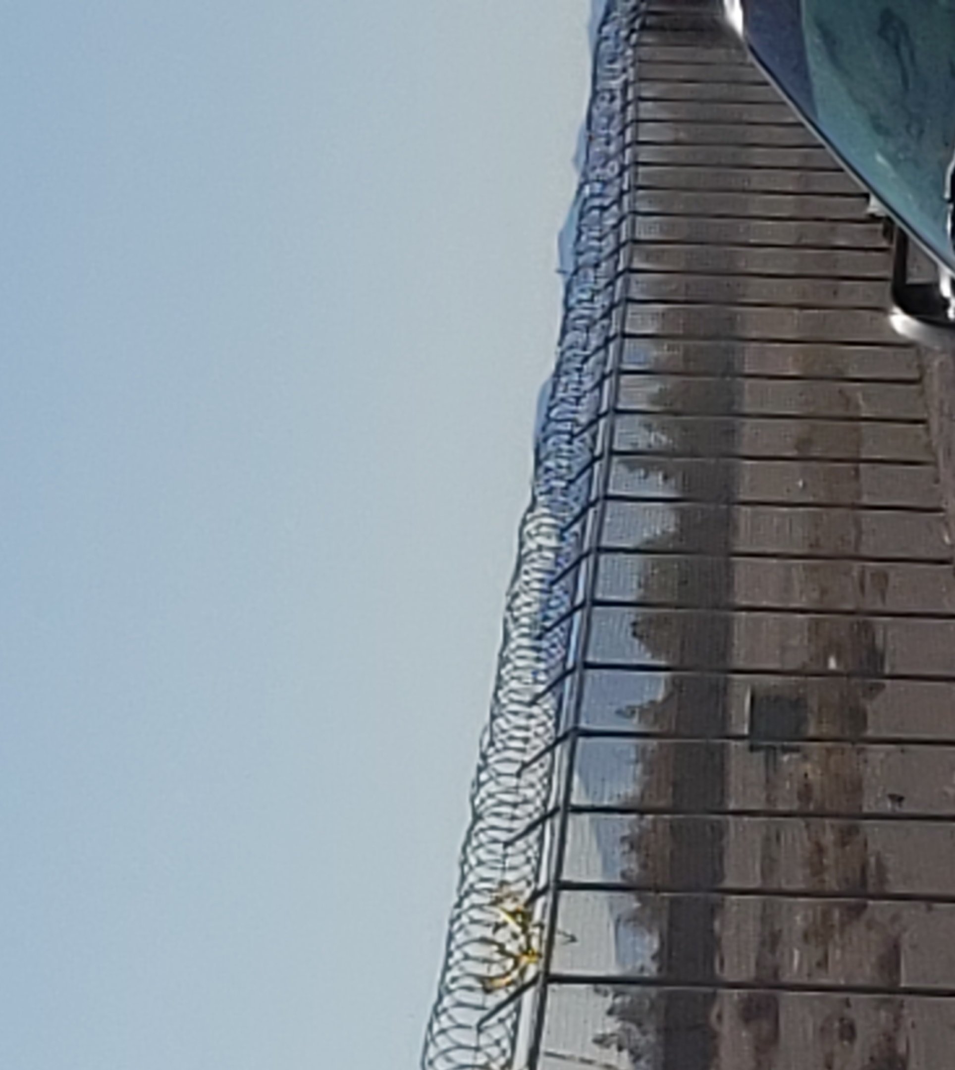 20200213_092458.jpg