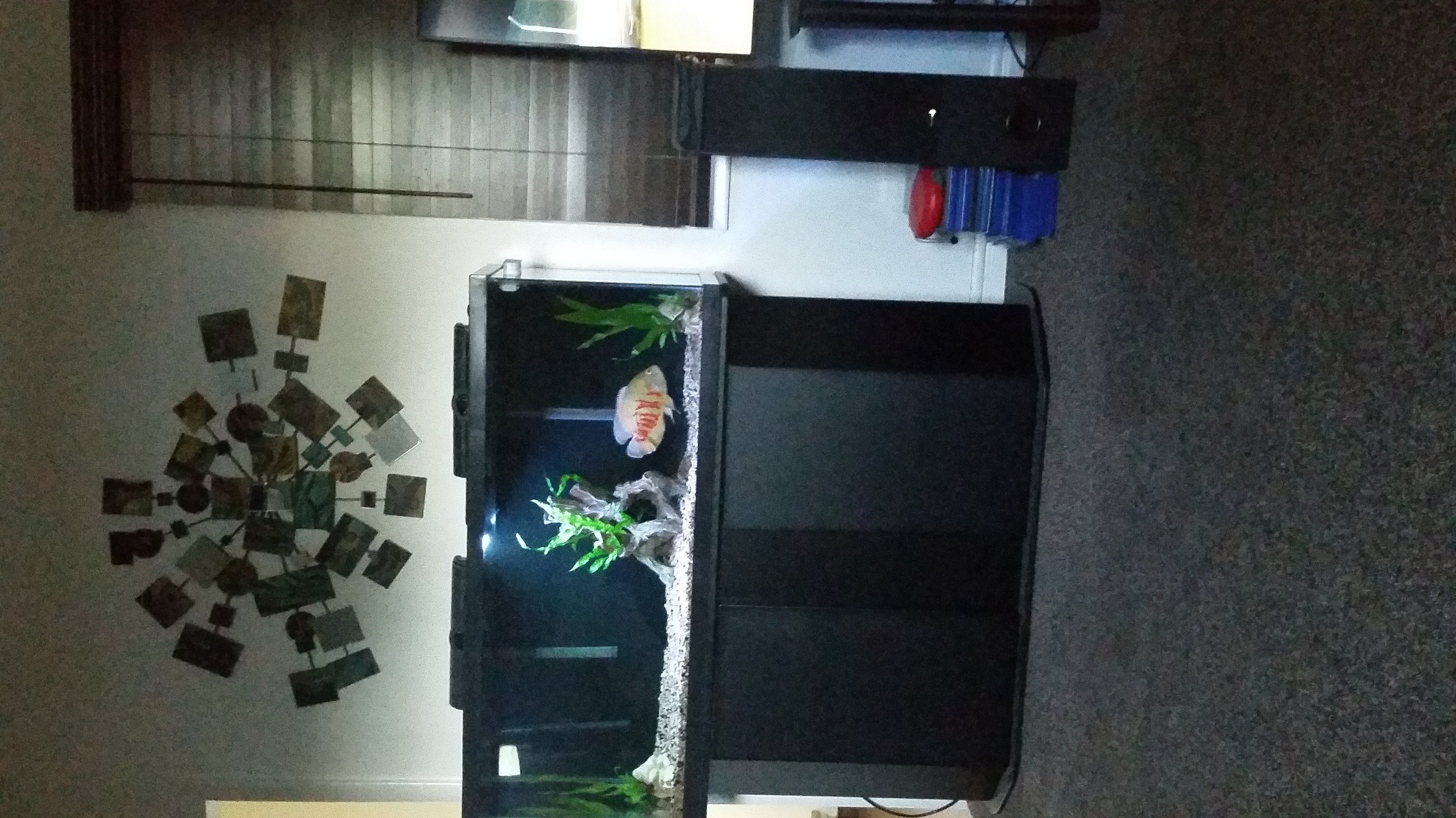 20200807_192937.jpg