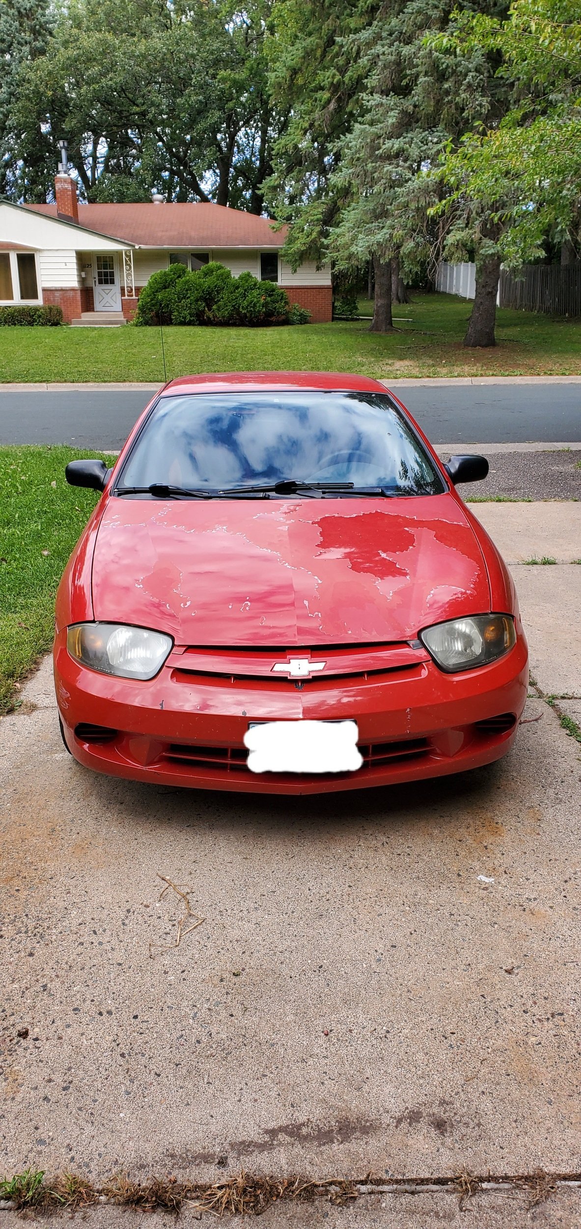 23550