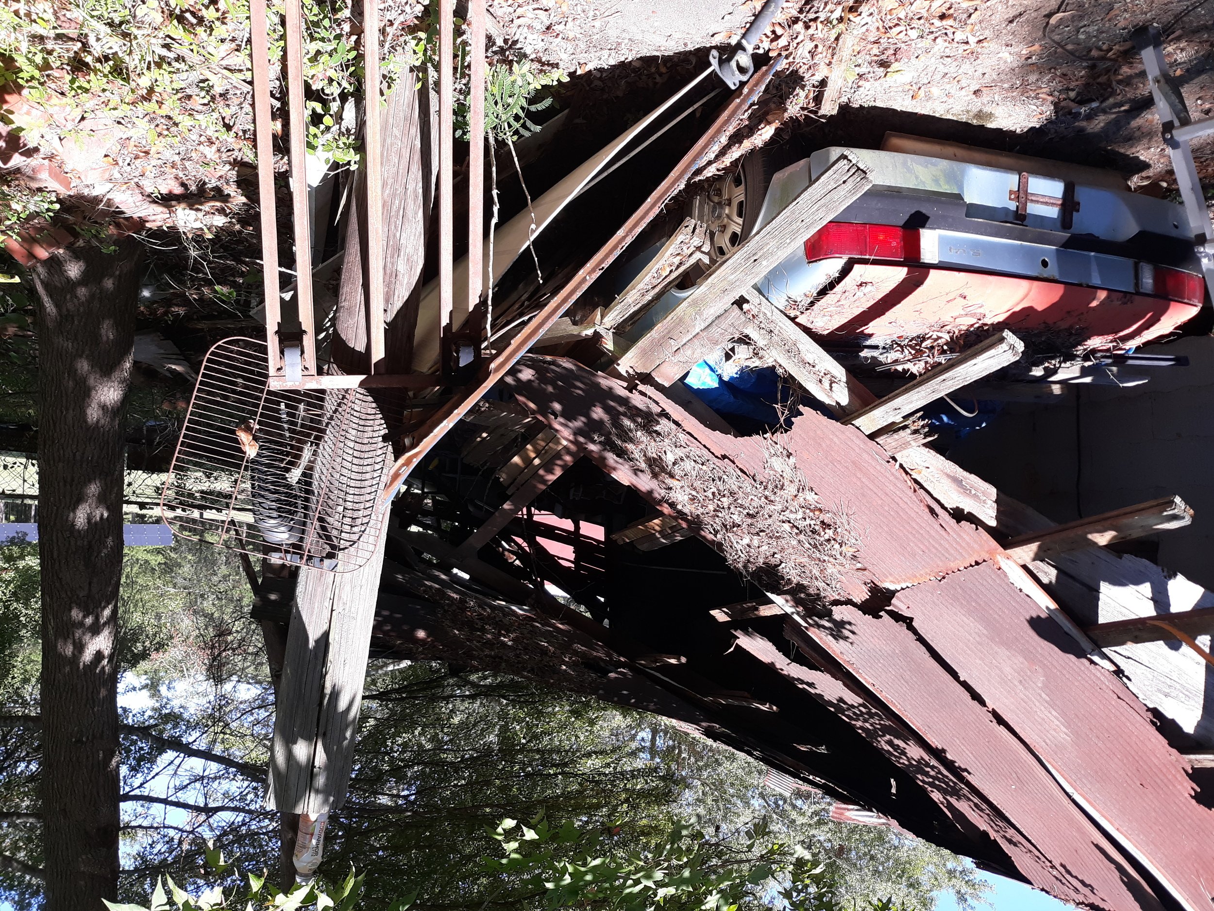 20201005_131833.jpg