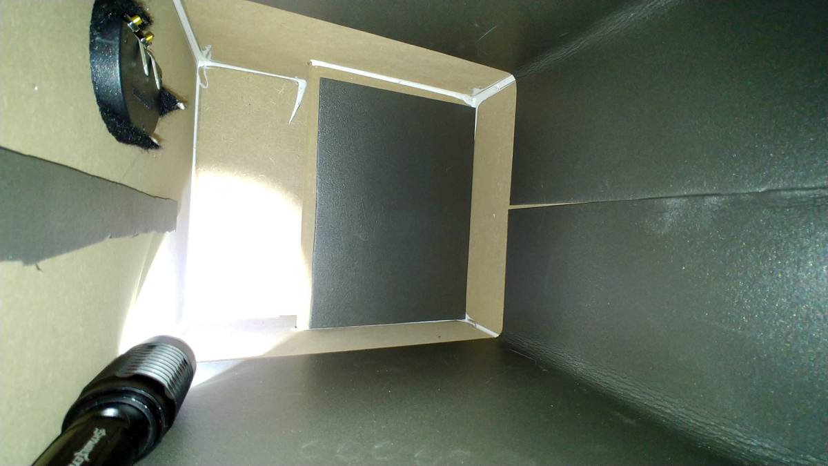 20210227-174858.jpg