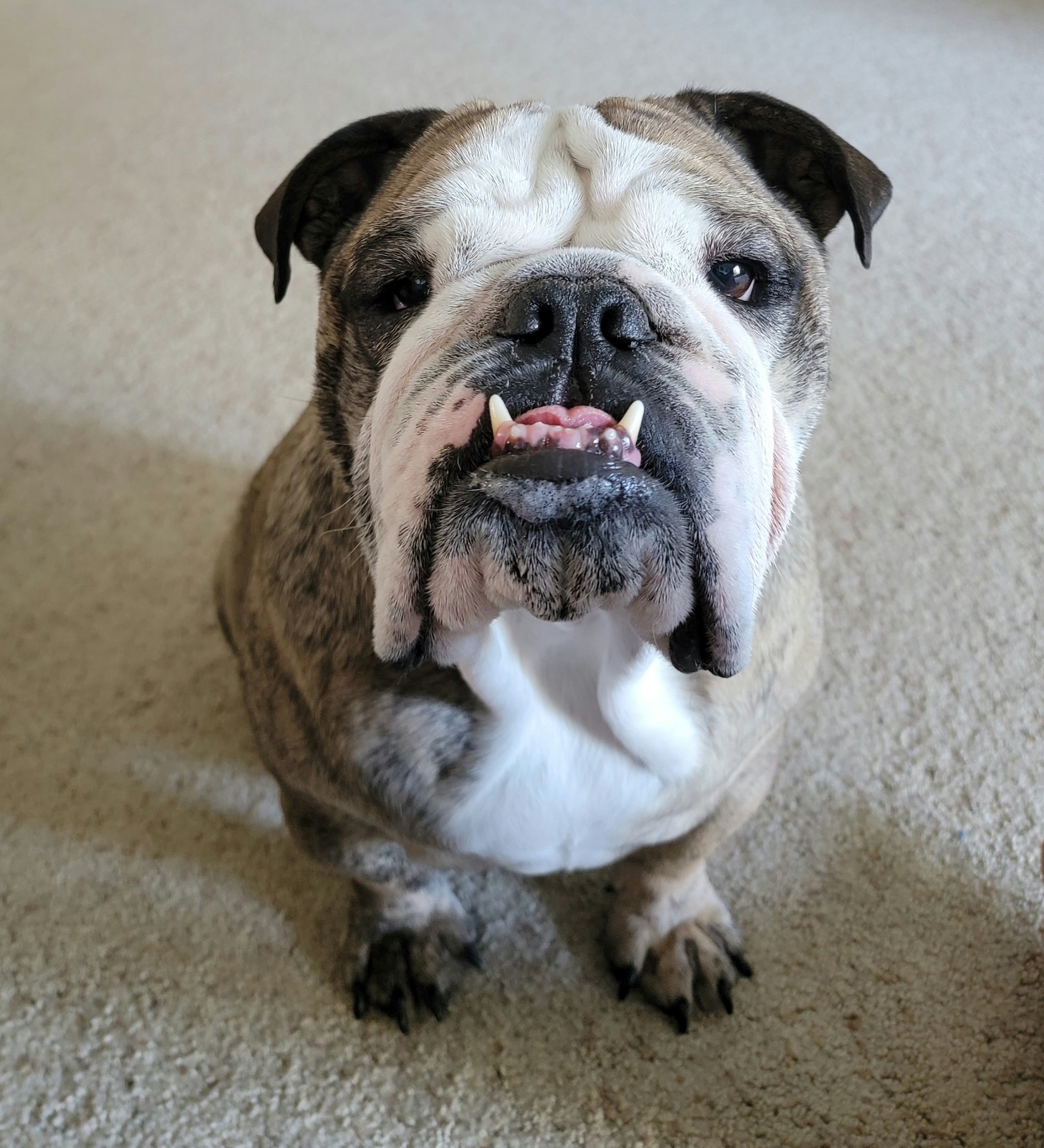 42241