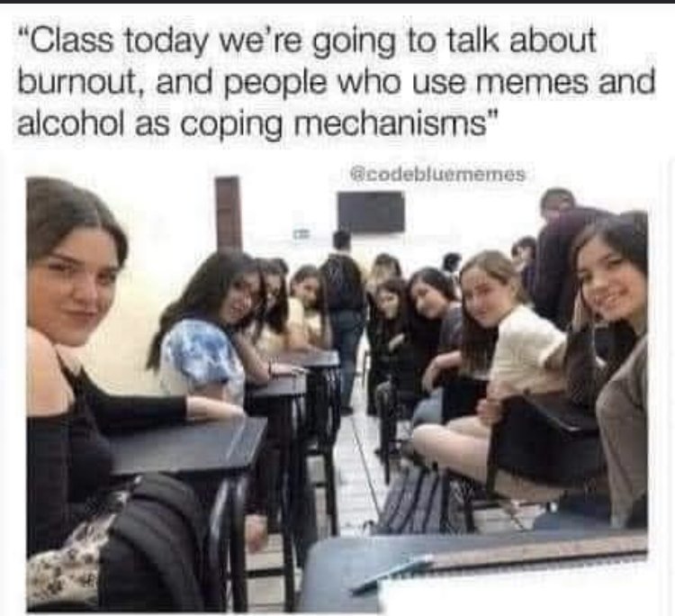 27491